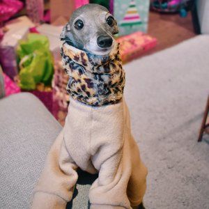 SnootsCanada Leopard Onesie